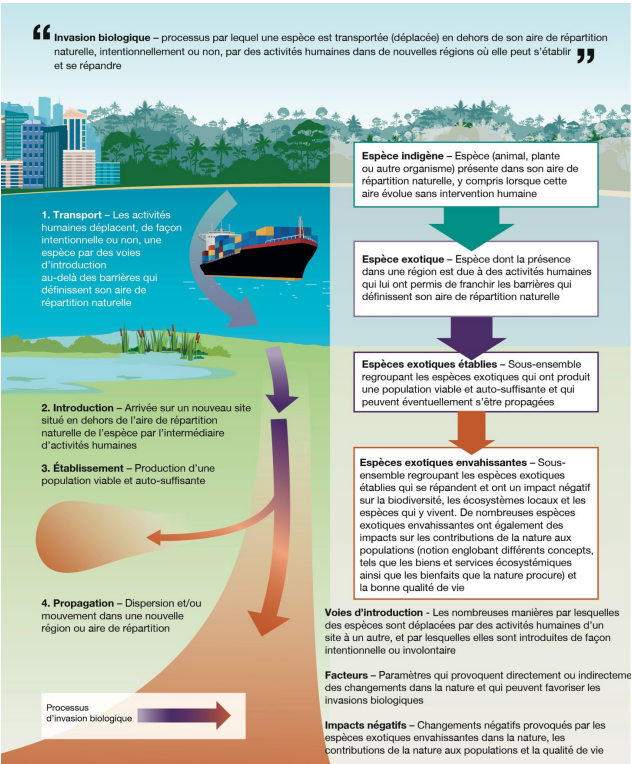 definitions-ipbes definitions-ipbes